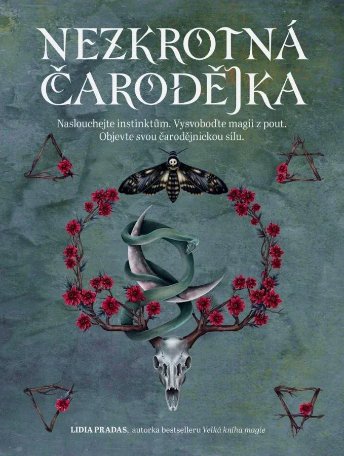 NEZKROTNÁ ČARODĚJNICE