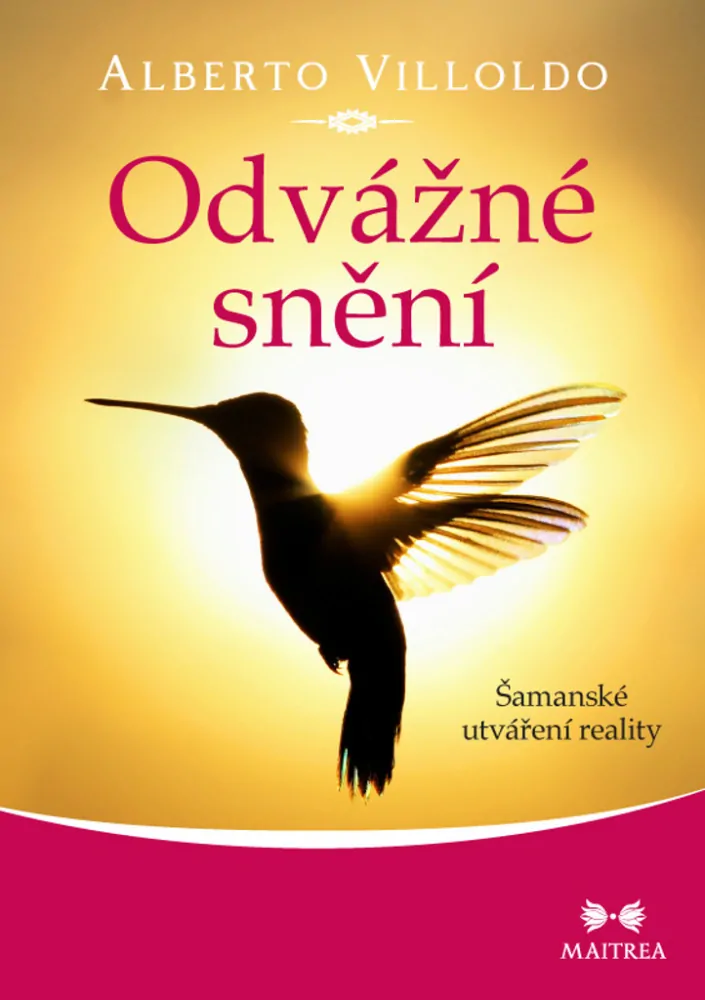ODVÁŽNÉ SNĚNÍ