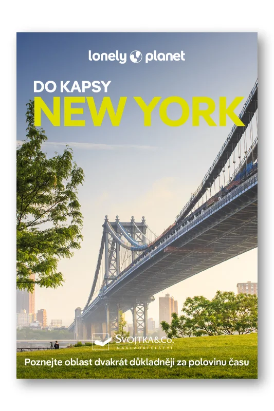 NEW YORK DO KAPSY - LONELY PLANET