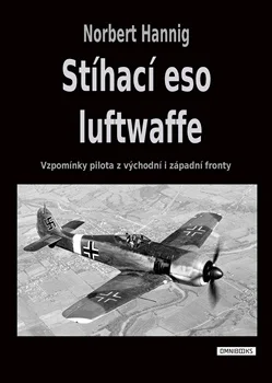 STÍHACÍ ESO LUFTWAFFE