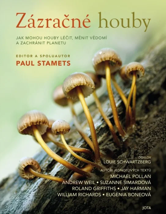 ZÁZRAČNÉ HOUBY