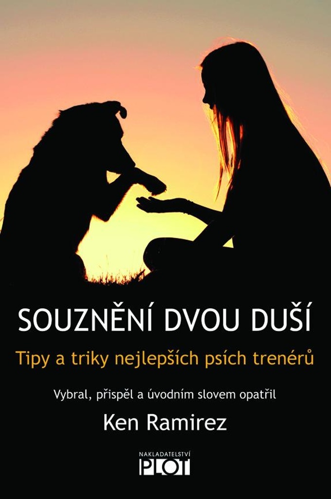 SOUZNĚNÍ DVOU DUŠÍ - TIPY A TRIKY NEJLEP