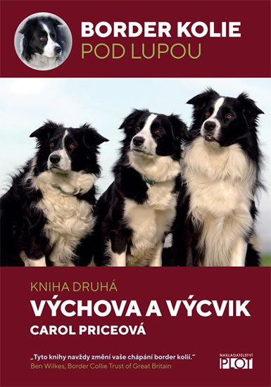 BORDER KOLIE POD LUPOU 2 - VÝCVIK