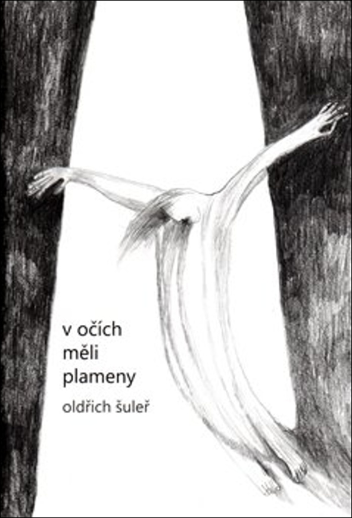 V OČÍCH MĚLI PLAMENY