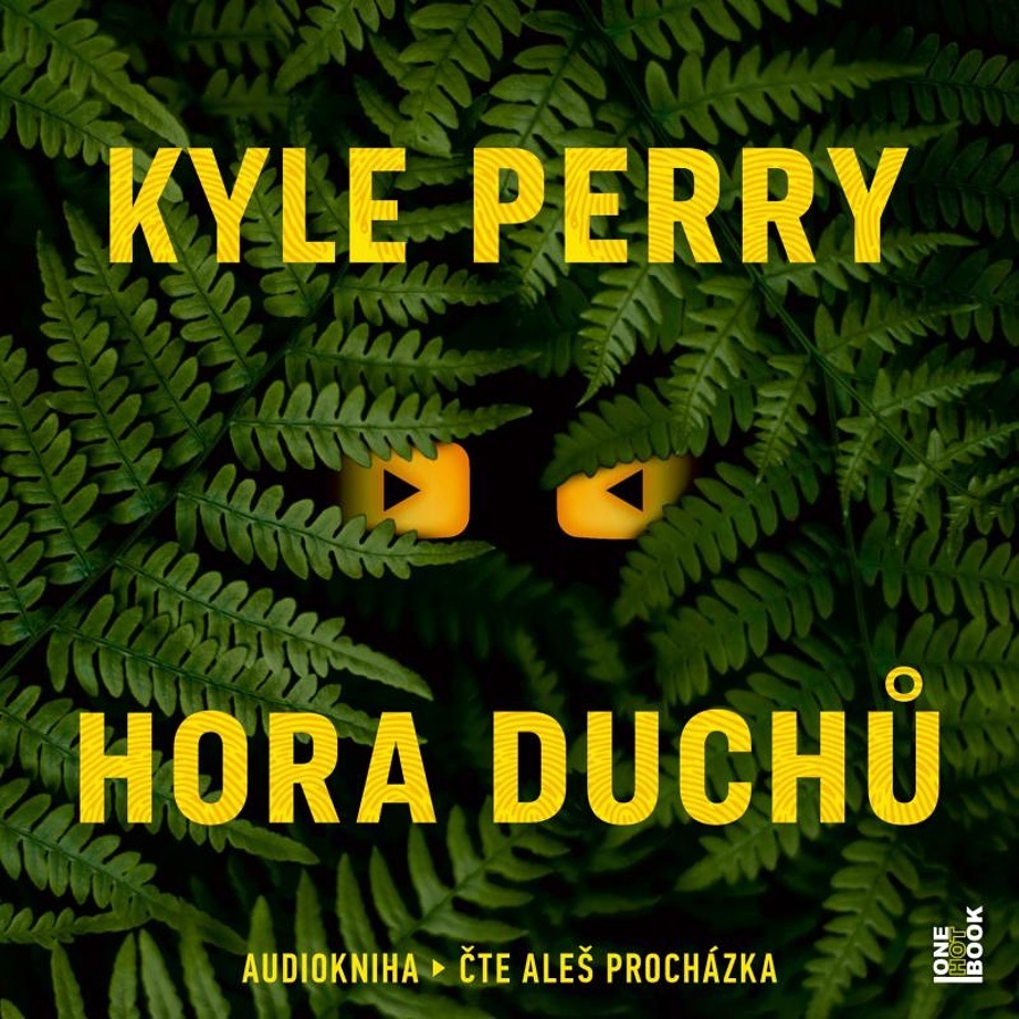 CD HORA DUCHŮ - 2 CDMP3