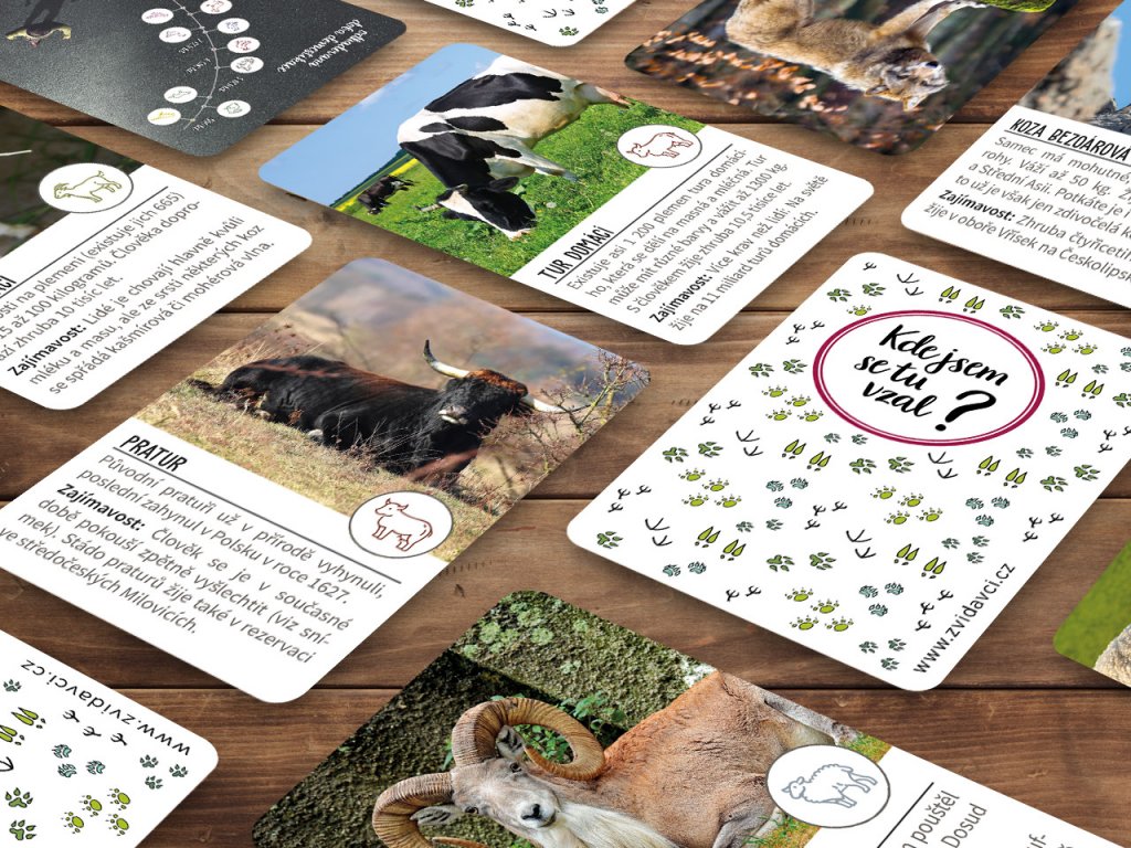 KDE JSEM SE TU VZAL?