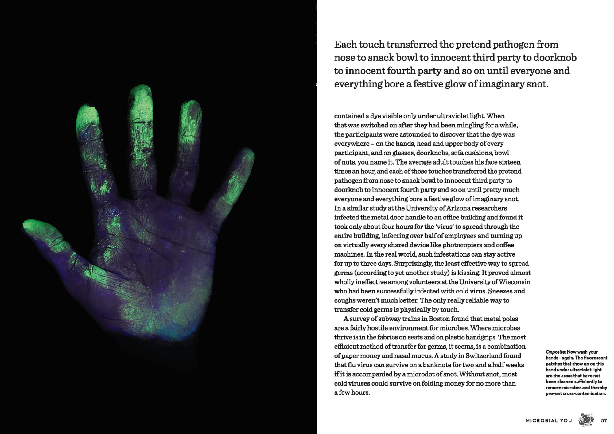 THE BODY ILLUSTRATED