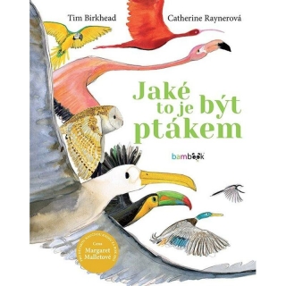 JAKÉ TO JE BÝT PTÁKEM