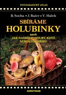 SBÍRÁME HOLUBINKY