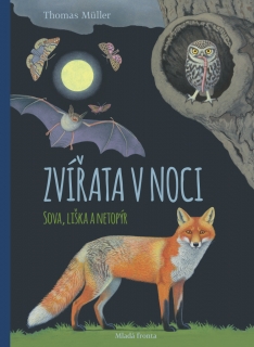 ZVÍŘATA V NOCI - SOVA, LIŠKA A NETOPÝR