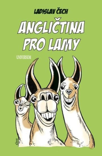 ANGLIČTINA PRO LAMY - 2. VYDÁNÍ