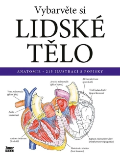 VYBARVĚTE SI LIDSKÉ TĚLO - ANATOMIE