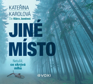 CD JINÉ MÍSTO (AUDIOKNIHA)