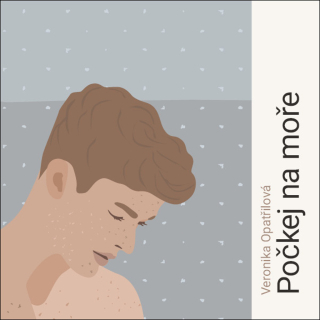 CD POČKEJ NA MOŘE