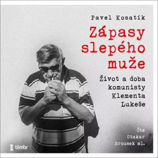 CD ZÁPASY SLEPÉHO MUŽE - AUDIOKNIHOVNA