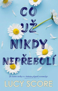 CO UŽ NIKDY NEPŘEBOLÍ 1 KNOCKEMOUT