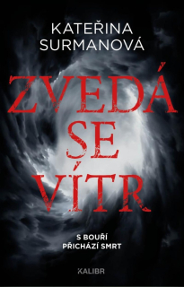ZVEDÁ SE VÍTR