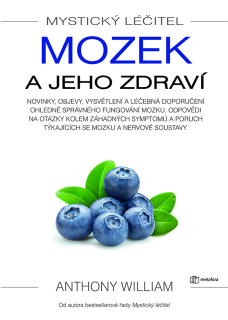 MYSTICKÝ LÉČITEL: MOZEK A JEHO ZDRAVÍ