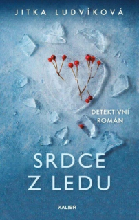 SRDCE Z LEDU