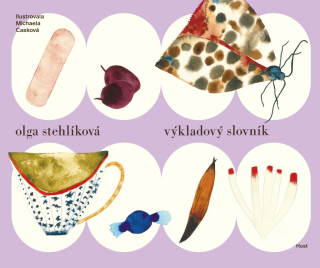 VÝKLADOVÝ SLOVNÍK