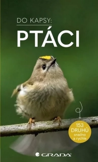 PTÁCI - DO KAPSY