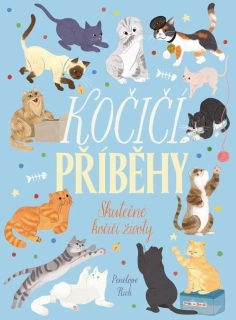 KOČIČÍ PŘÍBĚHY - SKUTEČNÉ KOČIČÍ ŽIVOTY