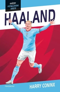 HVĚZDY FOTBALOVÉHO HŘIŠTĚ - HAALAND