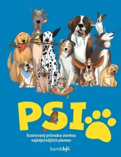 PSI