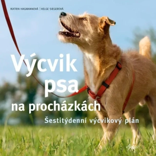 VÝCVIK PSA NA PROCHÁZKÁCH-2.VYDÁNÍ