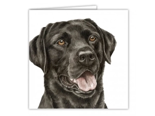 PŘÁNÍ AC-125 WAGGY DOGZ BLACK LABRADOR