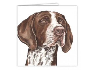 PŘÁNÍ AC-221 WAGGY DOGZ GERMAN SHORTHAIRED POINTER