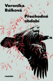 PŘECHODNÉ OBDOBÍ