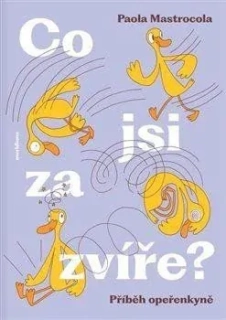 CO JSI ZA ZVÍŘE?