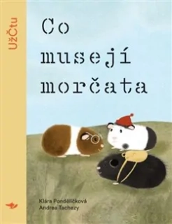 CO MUSEJÍ MORČATA
