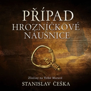 CD PŘÍPAD HROZNÍČKOVÉ NÁUŠNICE
