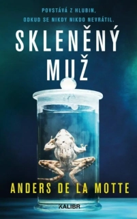 LEO ASKEROVÁ 2 SKLENĚNÝ MUŽ