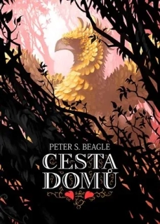 CESTA DOMŮ