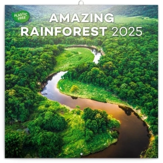 KALENDÁŘ 2025 POZN: DEŠTNÉ PRALESY