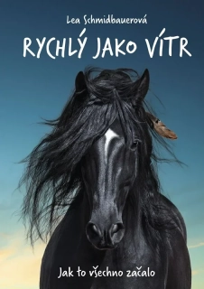 RYCHLÝ JAKO VÍTR: JAK TO VŠECHNO ZAČALO