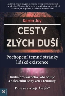 CESTY ZLÝCH DUŠÍ - POCHOPENÍ TEMNÉ STRÁNKY LIDSKÉ EXISTENCE