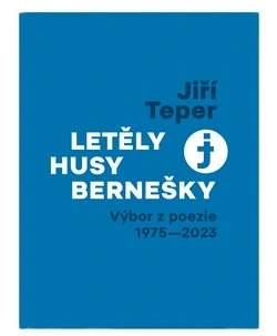 LETĚLY HUSY BERNEŠKY