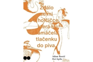PAVÍ LOGIKA
