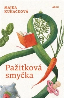 PAŽITKOVÁ SMYČKA