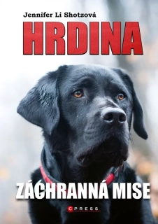 HRDINA: ZÁCHRANNÁ MISE