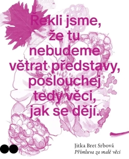 PŘÍMLUVA ZA MALÉ VĚCI