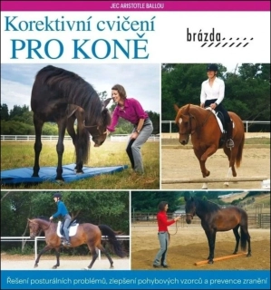 KOREKTIVNÍ CVIČENÍ PRO KONĚ