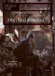 OBYČEJNÁ ŠÍLENSTVÍ - DIVADELNÍ HRY 2001 - 2012