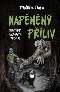 NAPĚNĚNÝ PŘÍLIV 2 STÍNY NAD MALINOVÝM VRCHEM