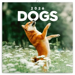 KALENDÁŘ 2026 POZN: PSI