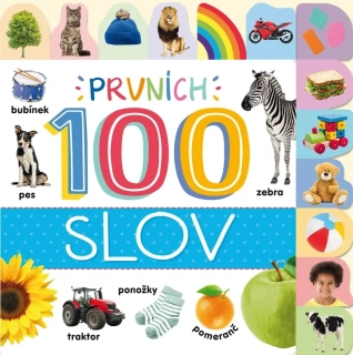 PRVNÍCH 100 SLOV